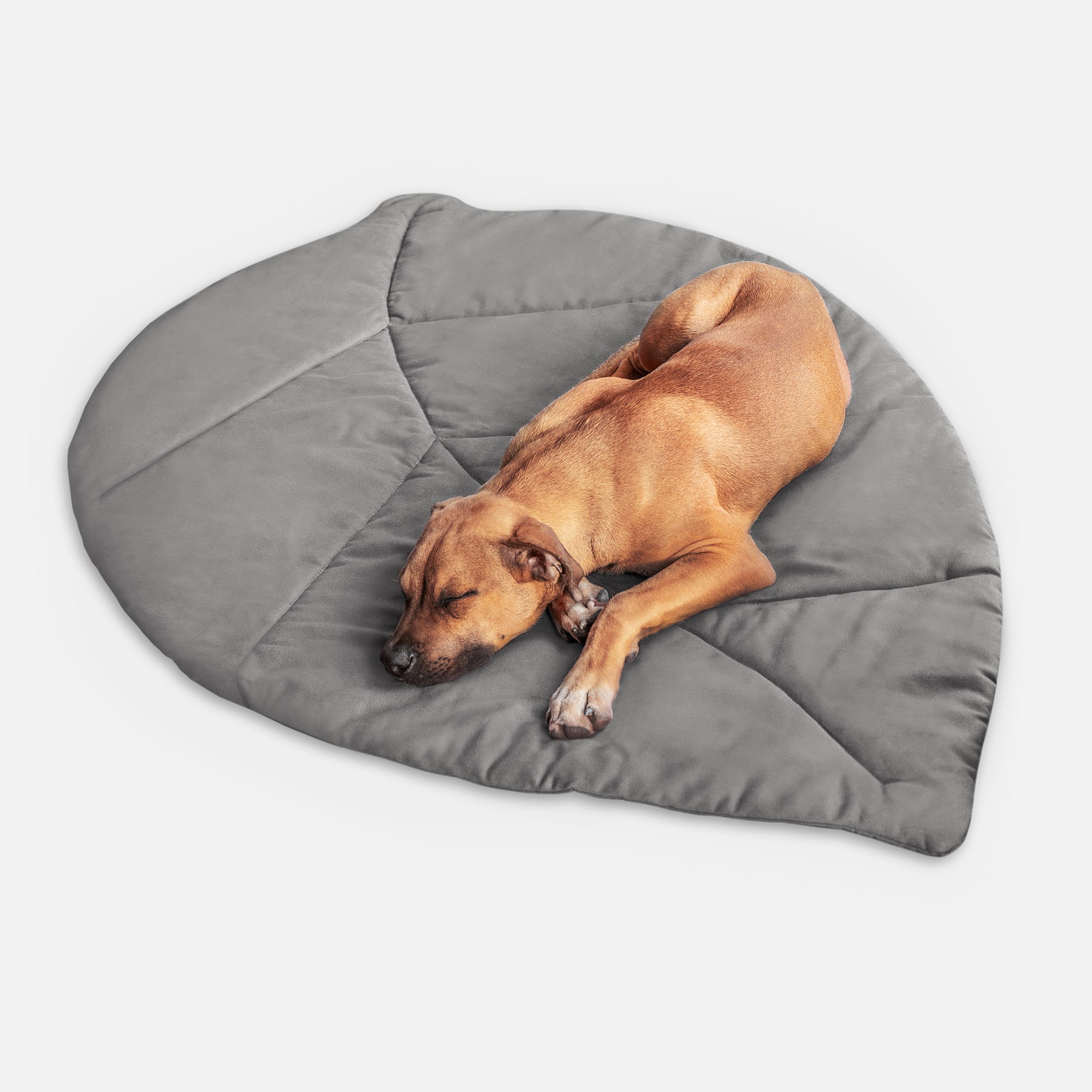 Hundematte LEAF, Steingrau