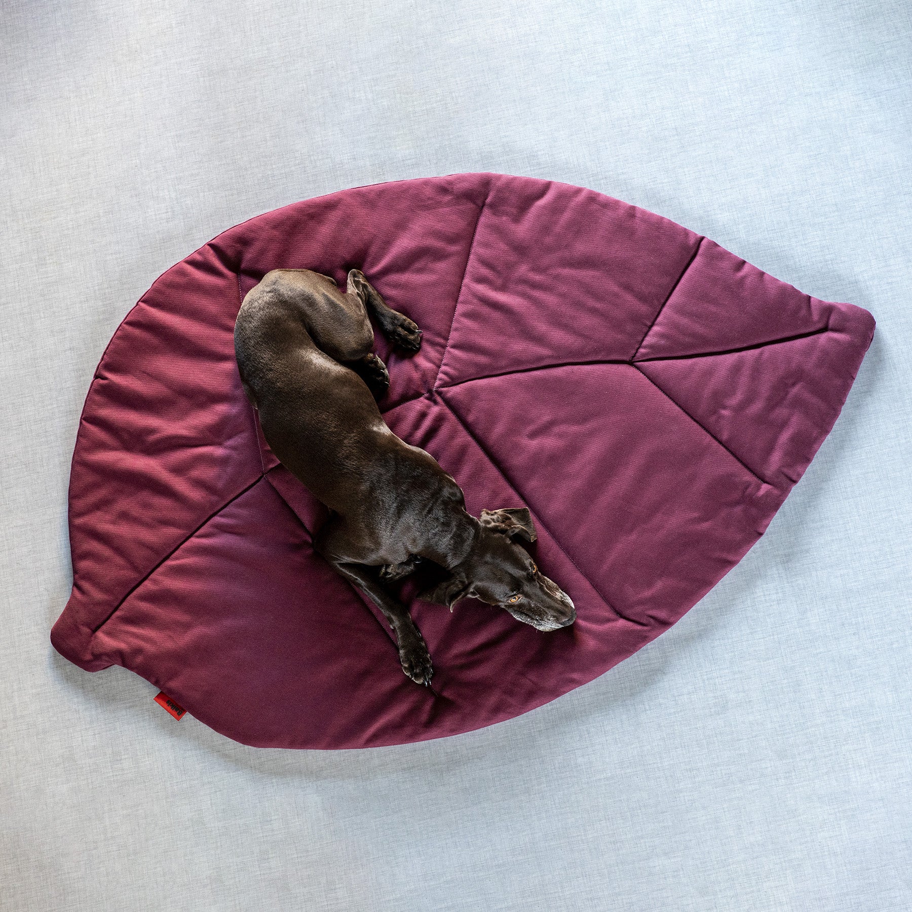 Hundematte LEAF, Bordeaux