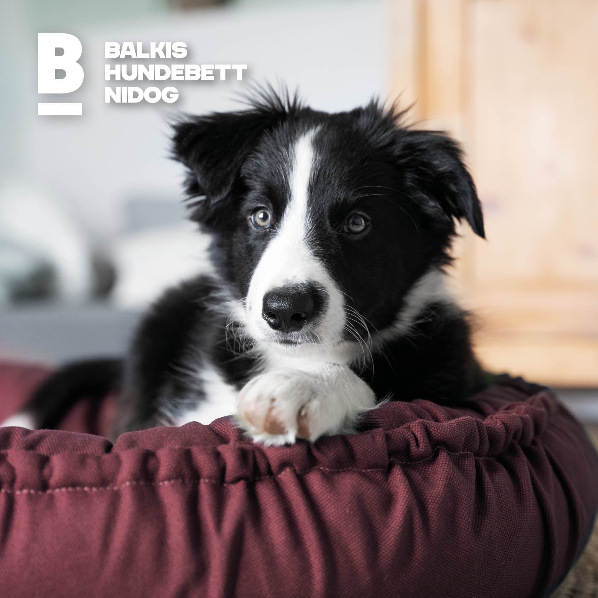 Hundebett NIDOG, Bordeaux