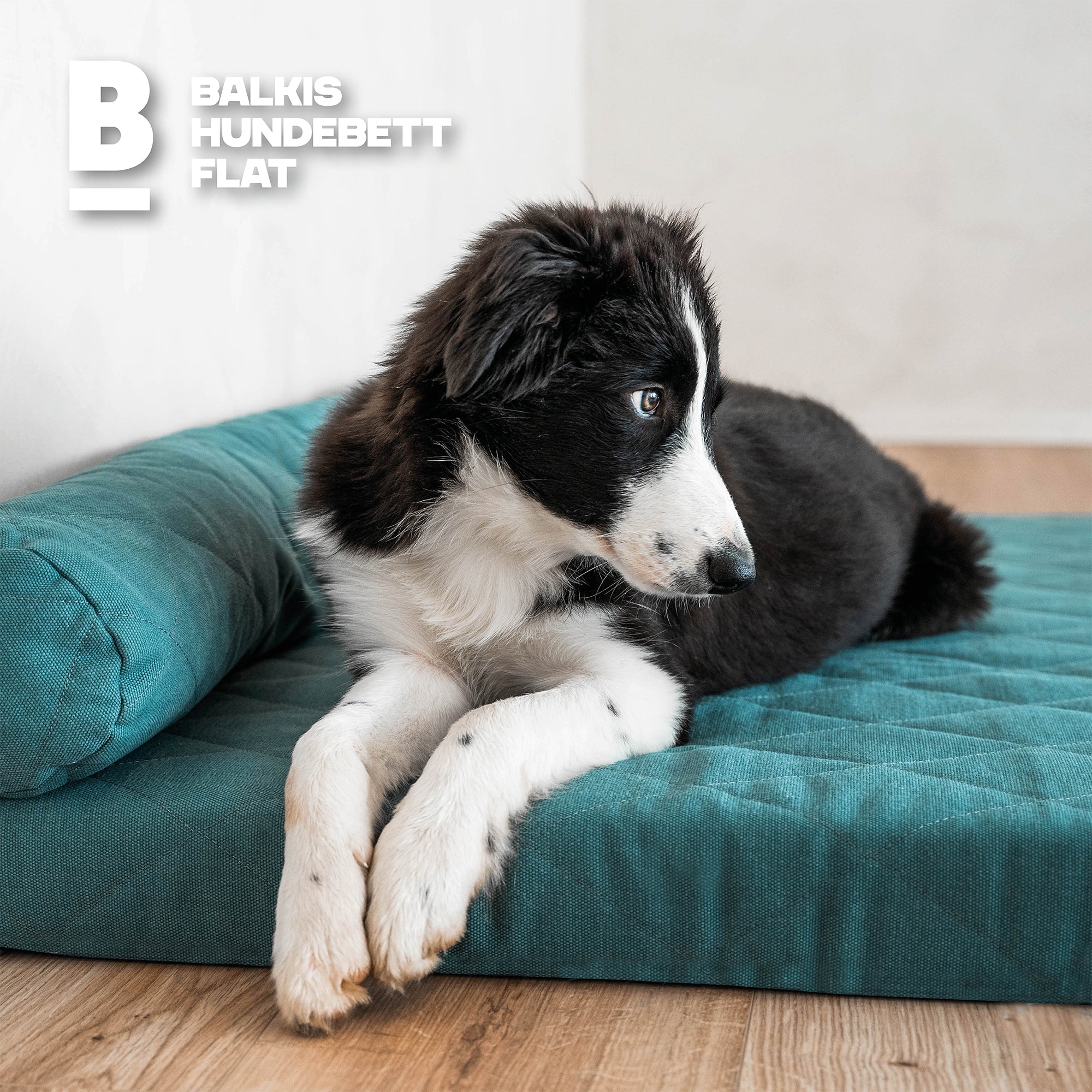 Hundebett FLAT - Amazonas