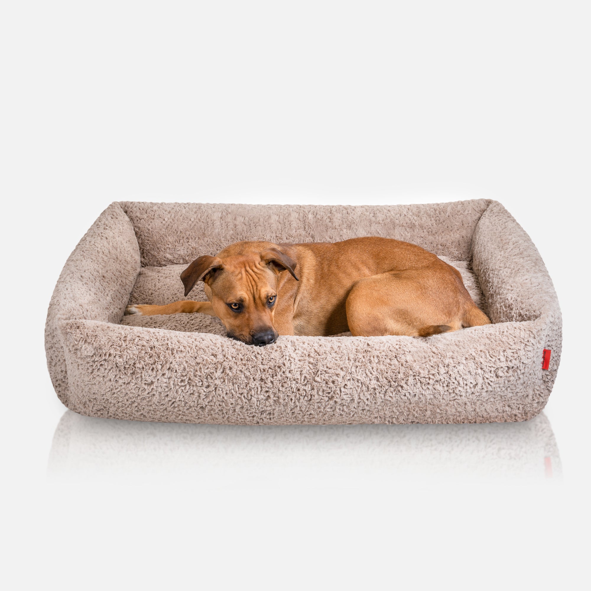 Hundebett Camo, Plüsch Sahara