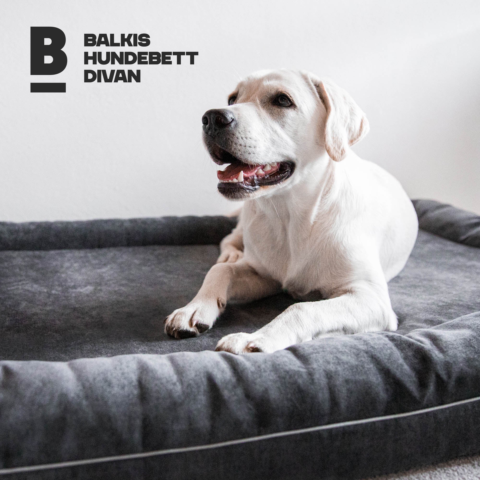 Hundebett Divan - Anthrazit