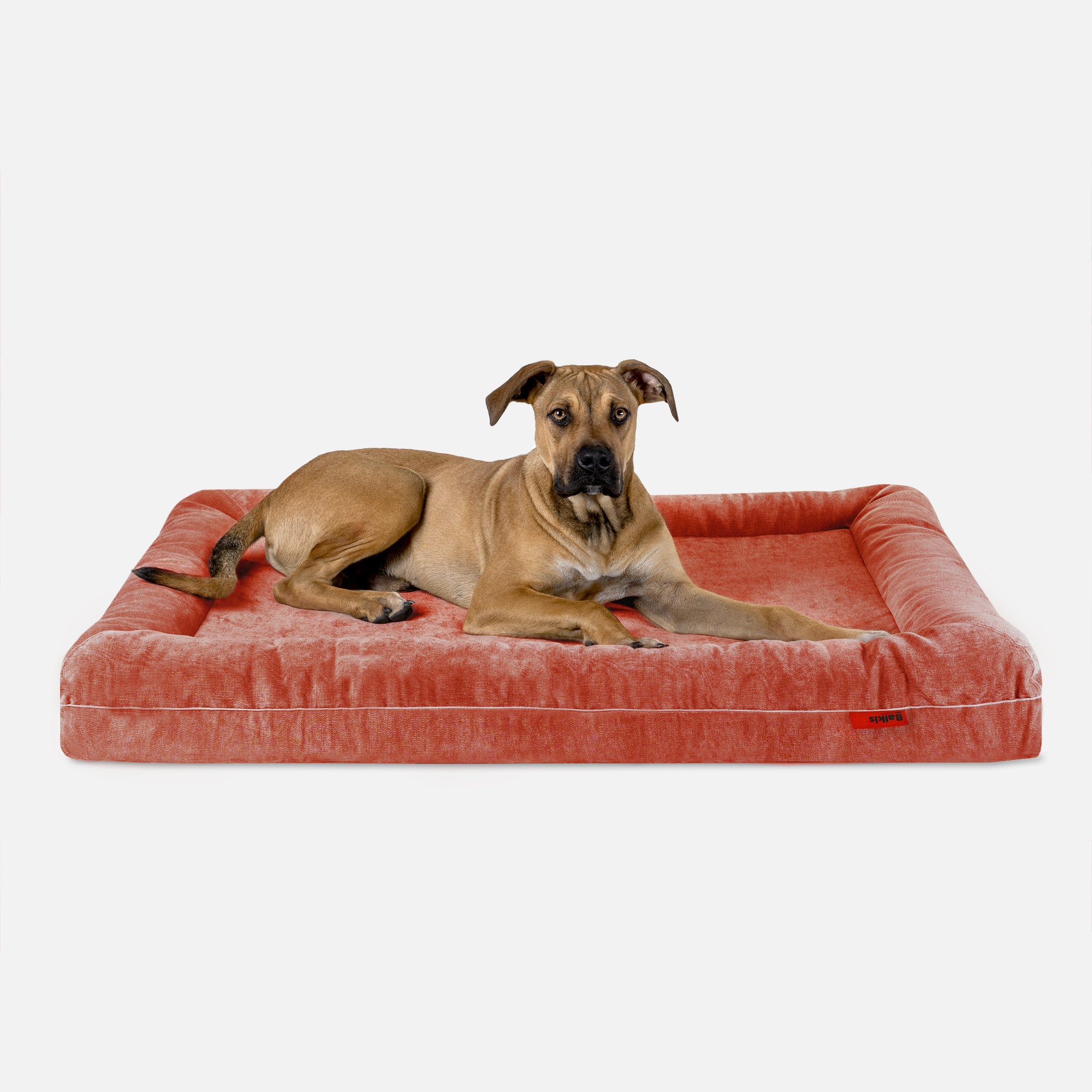 Hundebett Divan - Terracotta
