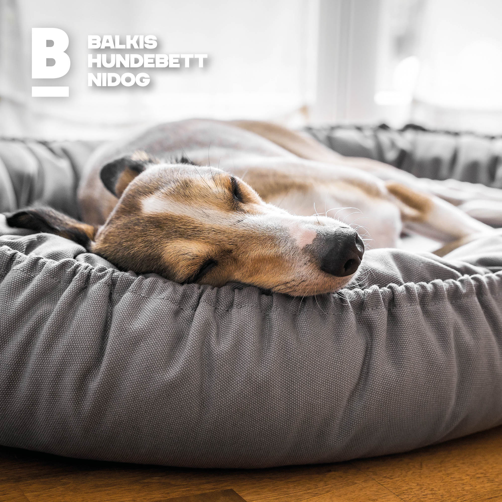 Hundebett NIDOG, Steingrau