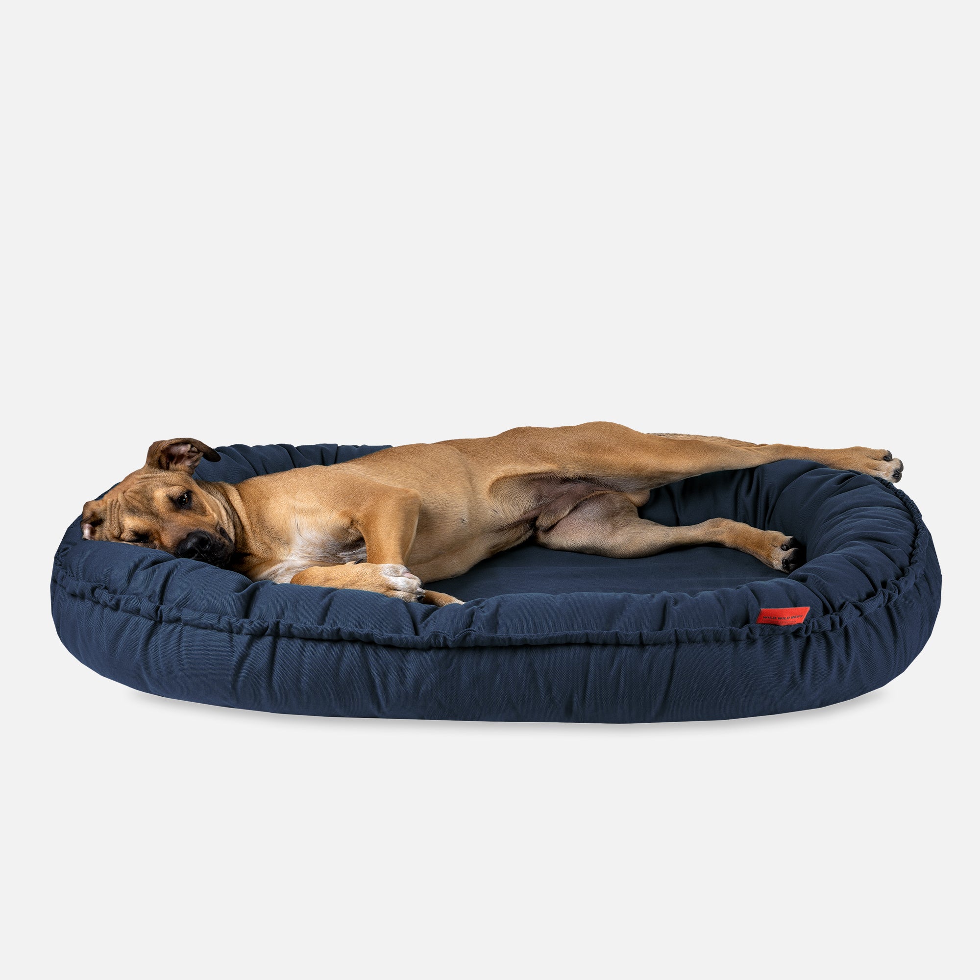 Hundebett NIDOG, Atlantik