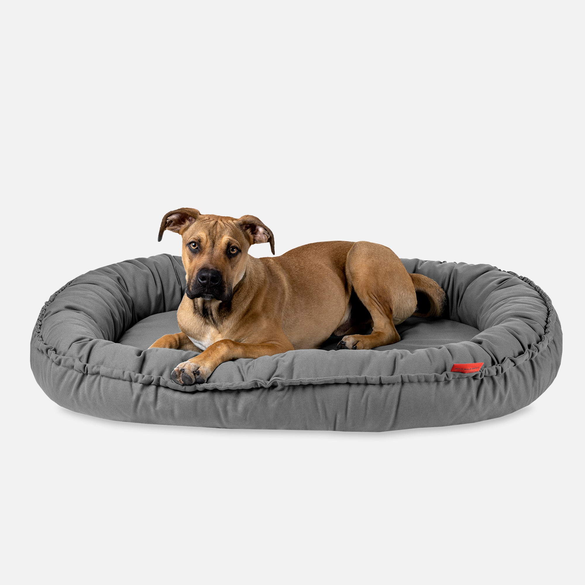 Hundebett NIDOG, Steingrau