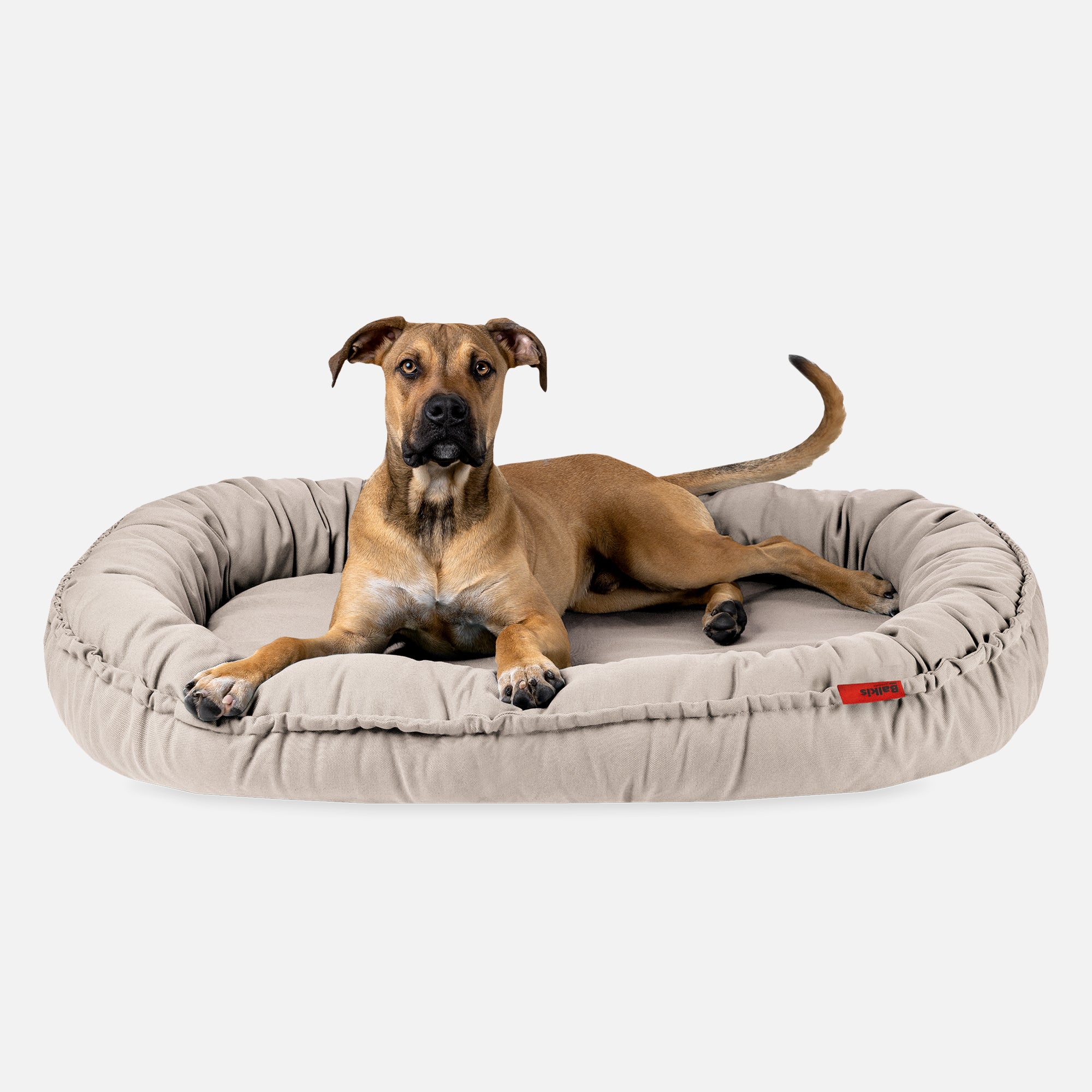 Hundebett NIDOG, Sahara