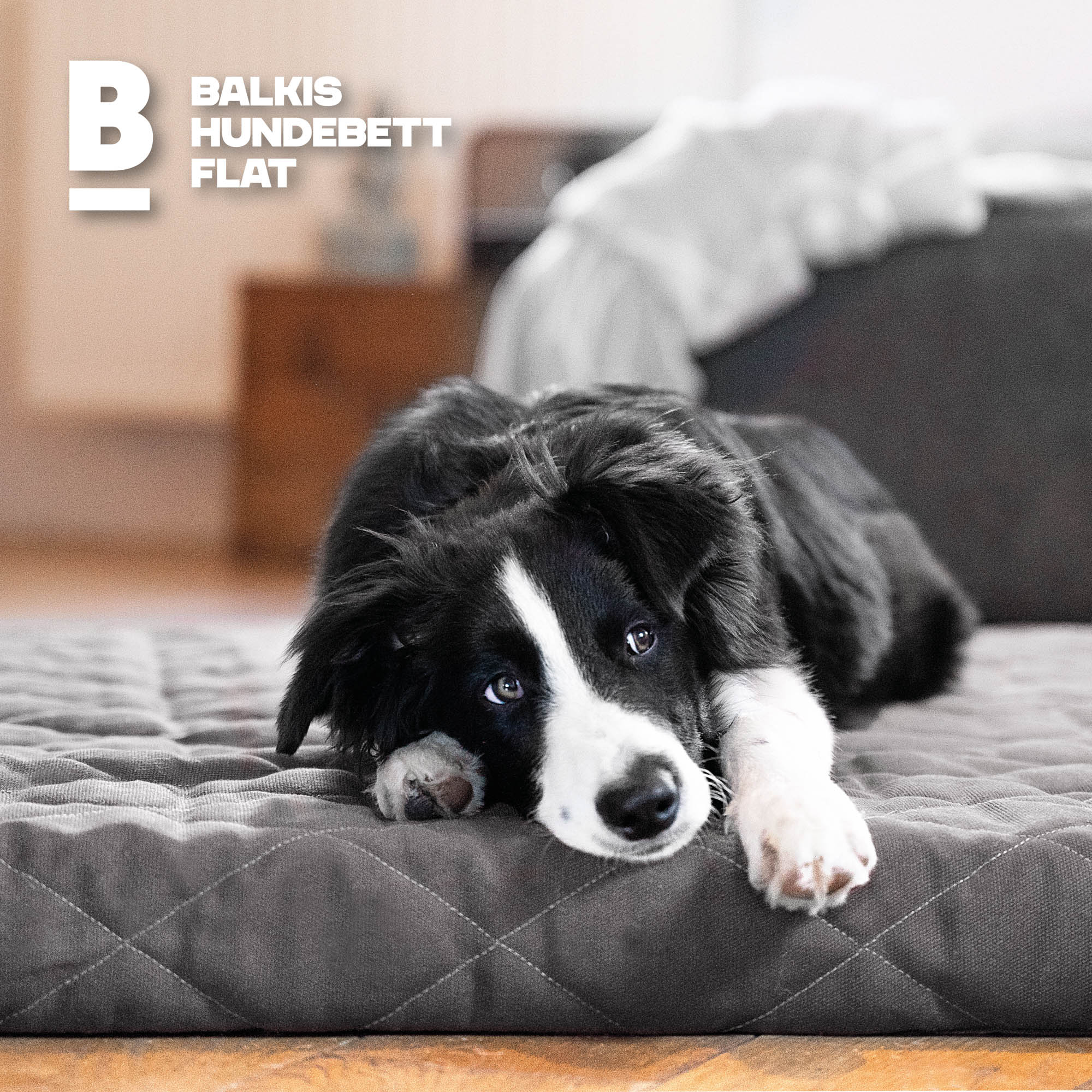 Hundebett FLAT, Steingrau